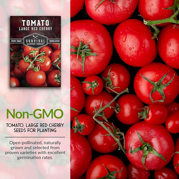 Survival Garden Seeds - Large Red Cherry Tomato Seed for Planting - 2 Packets with Instructions to Plant and Grow Tomatoes in Your Home Vegetable Garden - Non-GMO Heirloom Variety