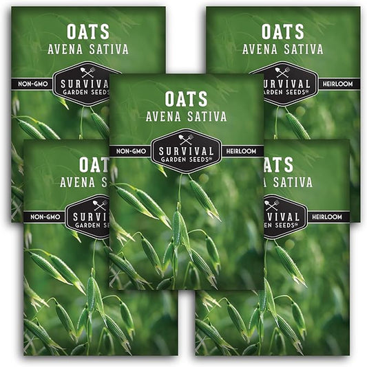 Survival Garden Seeds - Oat Seed for Planting - 5 Packs with Instructions to Plant & Grow Avena Sativa in Your Home Vegetable or Herb Garden - Medicinal Herb & Cover Crop - Non-GMO Heirloom Variety