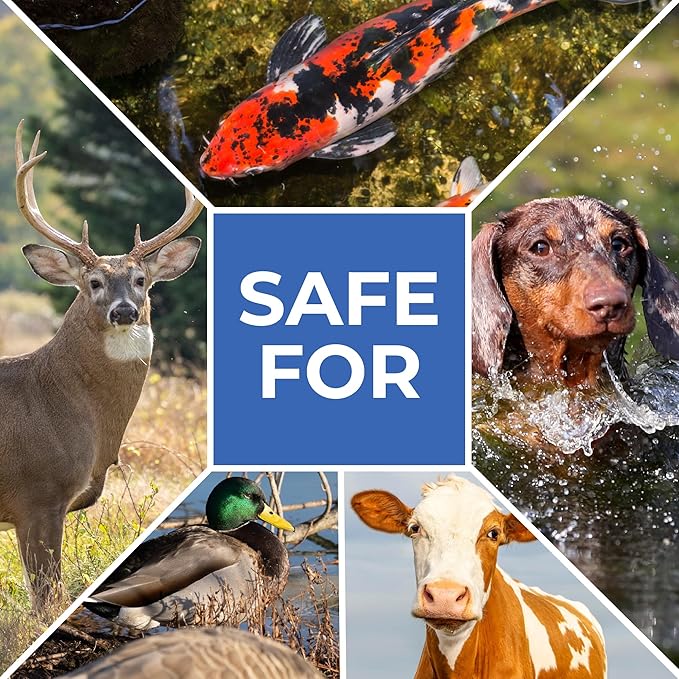 Ultimate Pond Bacteria, Outdoor Pond & Lake Natural Beneficial Bacteria Treatment, Aquatic Odor Reducer & Sludge Digester, Fish, Plant, & Livestock Safe, Easy Dosing Liquid, 1 Gallon Bottle