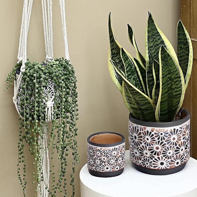 3 Piece Ceramic Plant Pots, 5.7/4.7/3.5/inch Planters with Drainage Hole, Outdoor Indoor Flower Pots Set, Modern Decorative Plant Pots for Lilies, Cacti, Succulents, Snakes, Bamboo(Grey)