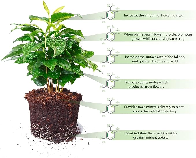 Water-Storing Crystal Gel (45 pounds)