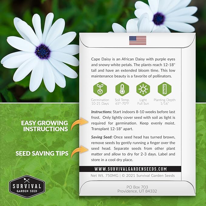 1 Pack Cape Daisy Seed for Planting - Packet with Instructions to Grow Beautiful White & Purple Osteospermum Daisy Plant in Your Home Flower Garden - Non-GMO Heirloom Variety - Survival Garden Seeds
