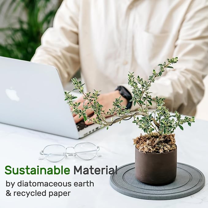 Diatomaceous Earth Plant Saucer for Indoor, 2 Pack 12 inch, Instant Dry Pot Saucer, Plant Drip & Drainage Tray for Indoor, Stone Gray