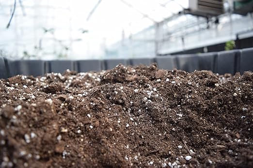 Natural Horticultural Perlite (4 Quart)