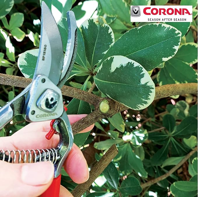 Corona BP15180 Forged Steel ClassicCUT Bypass Hand Pruner - 1 inch Cut Capacity Stem and Branch Garden Shears, Red