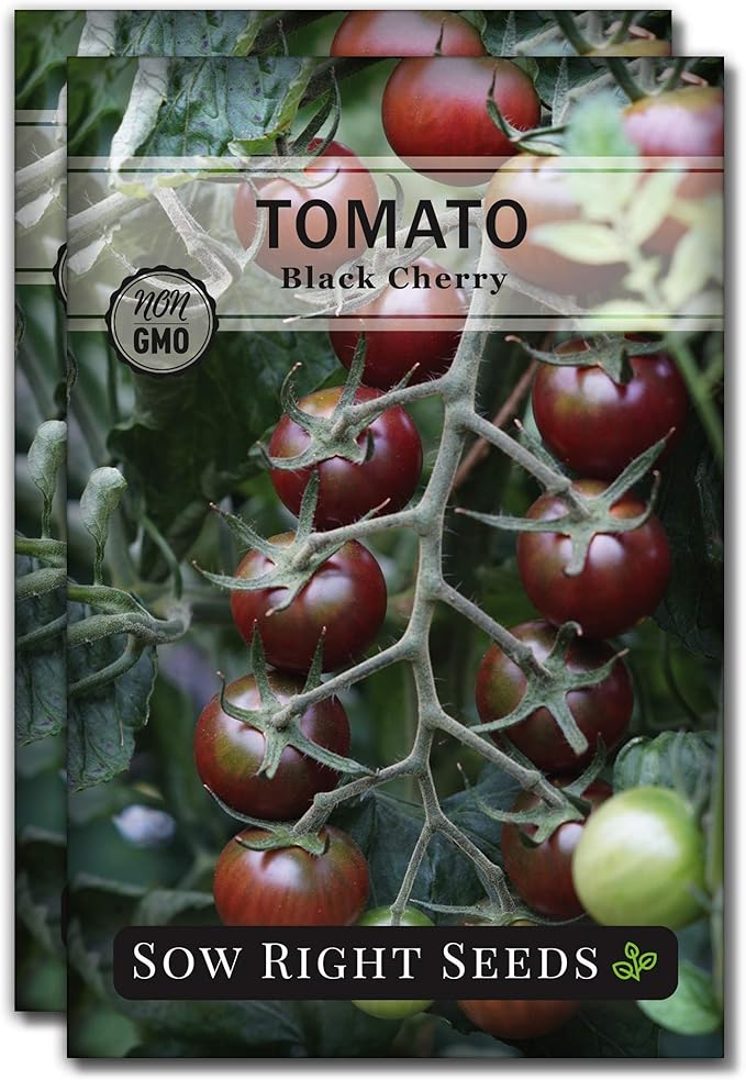 Sow Right Seeds - Black Cherry Tomato Seeds for Planting - Non-GMO Heirloom Packet with Instructions to Plant a Home Vegetable Garden - Tasty Snacking Variety, Start Indoors - Indeterminate (2)