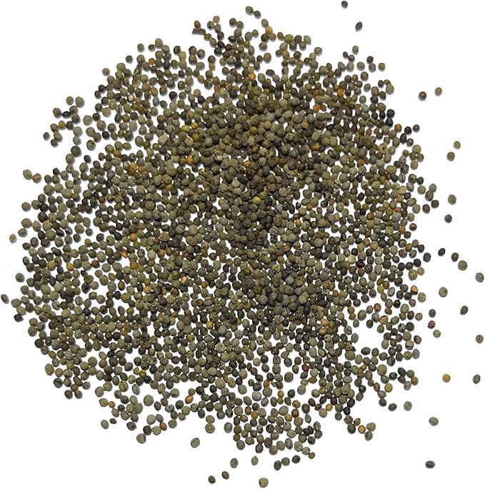 Seed Needs Mixed California Poppy Seeds for Planting - Heirloom & Open Pollinated Tender Perennial - Colorful Mixture of Flowers to Plant a Butterfly Garden (5 Packs)