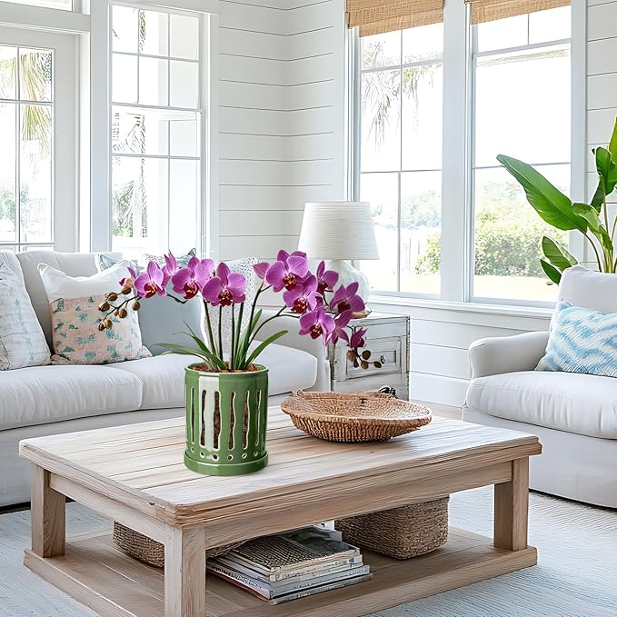 6 Inch Ceramic Orchid Pot with Large Slotted Holes, Orchid Planter for Enhanced Air Circulation, Orchid Pots with Drainage Tray, Patina