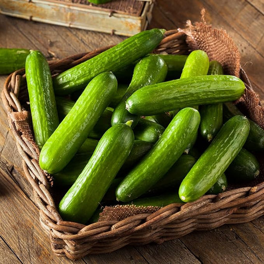 Beit Alpha Cucumber Seed CMR/MMR for Planting - Over 90 Heirloom Seed Pack - Non-GMO Pickling Cucumber Seeds for Planting Indoors or Outdoors
