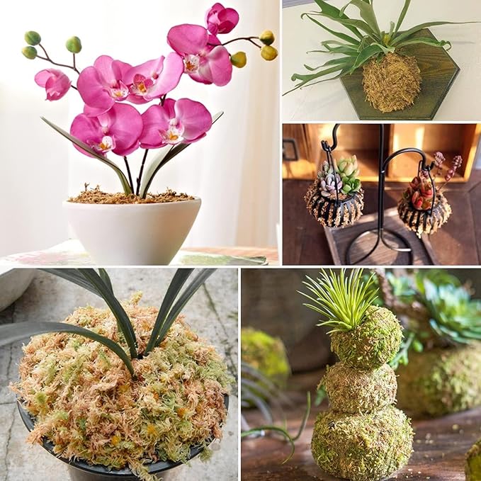 ZeeDix 500g Premium Sphagnum Moss for Plants, 25QT Natural Long Fibered Orchid Moss Sphagnum Peat Moss Bulk for Carnivorous,Orchid,Sarracenia,Succulent,Venus Fly Traps and Reptiles