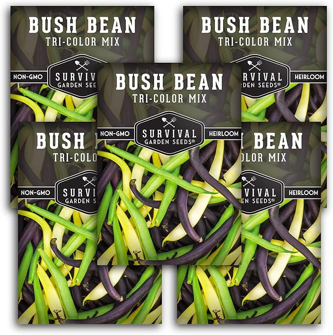 Survival Garden Seeds - Tri-Color Bean Seed for Planting - 5 Packs with Instructions to Plant and Grow Yellow, Purple, and Green Bush Beans in Your Home Vegetable Garden - Non-GMO Heirloom Variety