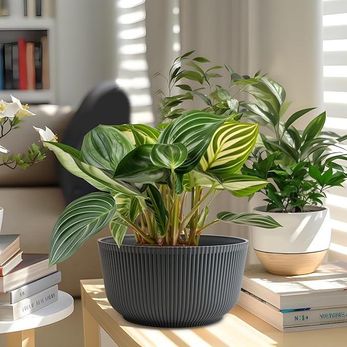 T4U 12 Inch Large Self Watering Plant Pots, Wide Self Watering Planter with Drainage Hole, Large Plant Pots Flower Pot for Plants, Set of 2,Gray