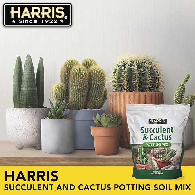 Harris Premium Succulent and Cactus Potting Soil Mix, Fast Draining with Added Nutrients, 4 Quarts