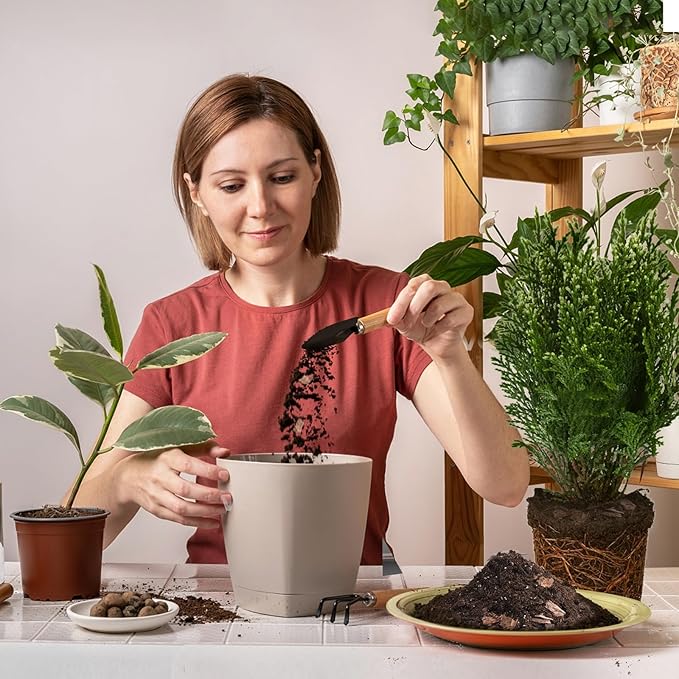 Bonsai Soil Mix 10qt Ready to Use, Organic Bonsai Tree Soil Fits for Small Bonsai Pot, Suitable for Bonsai Seedling, Repotting, or Bonsai Starter Kit