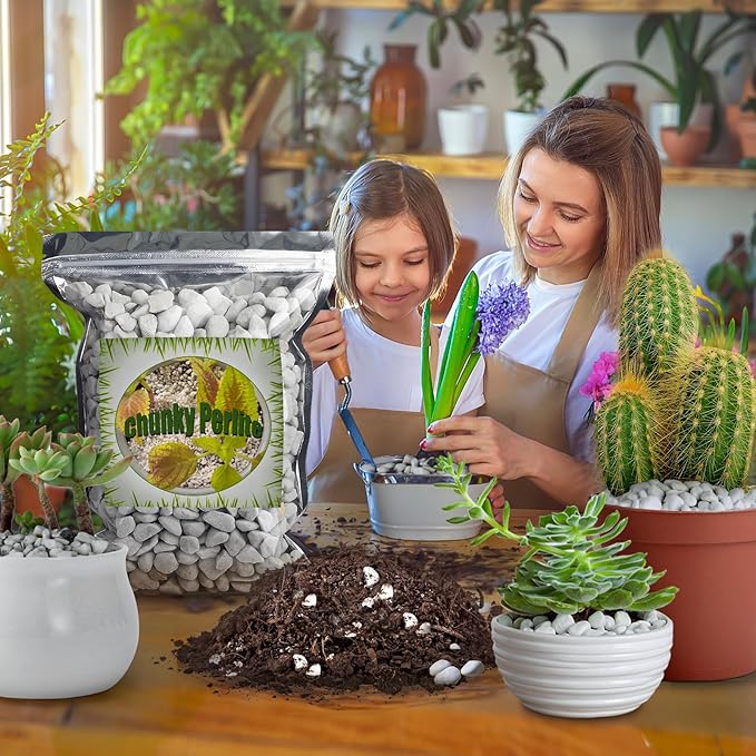 Organic Chunky Perlite for Plants (0.4"-0.8" in Diameter), Natural Horticultural Soil Additive Conditioner Mix, Improve Drainage and Ventilation, Enhance Soil Health and Root Growth (4 Quarts)