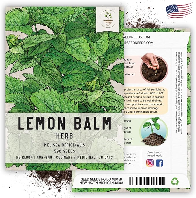 Seed Needs Lemon Balm Seeds for Planting - Non-GMO, Heirloom & Untreated Perennial Medicinal Herb - Plant Indoors/Outdoors Used for Making Calming Tea (1 Pack)