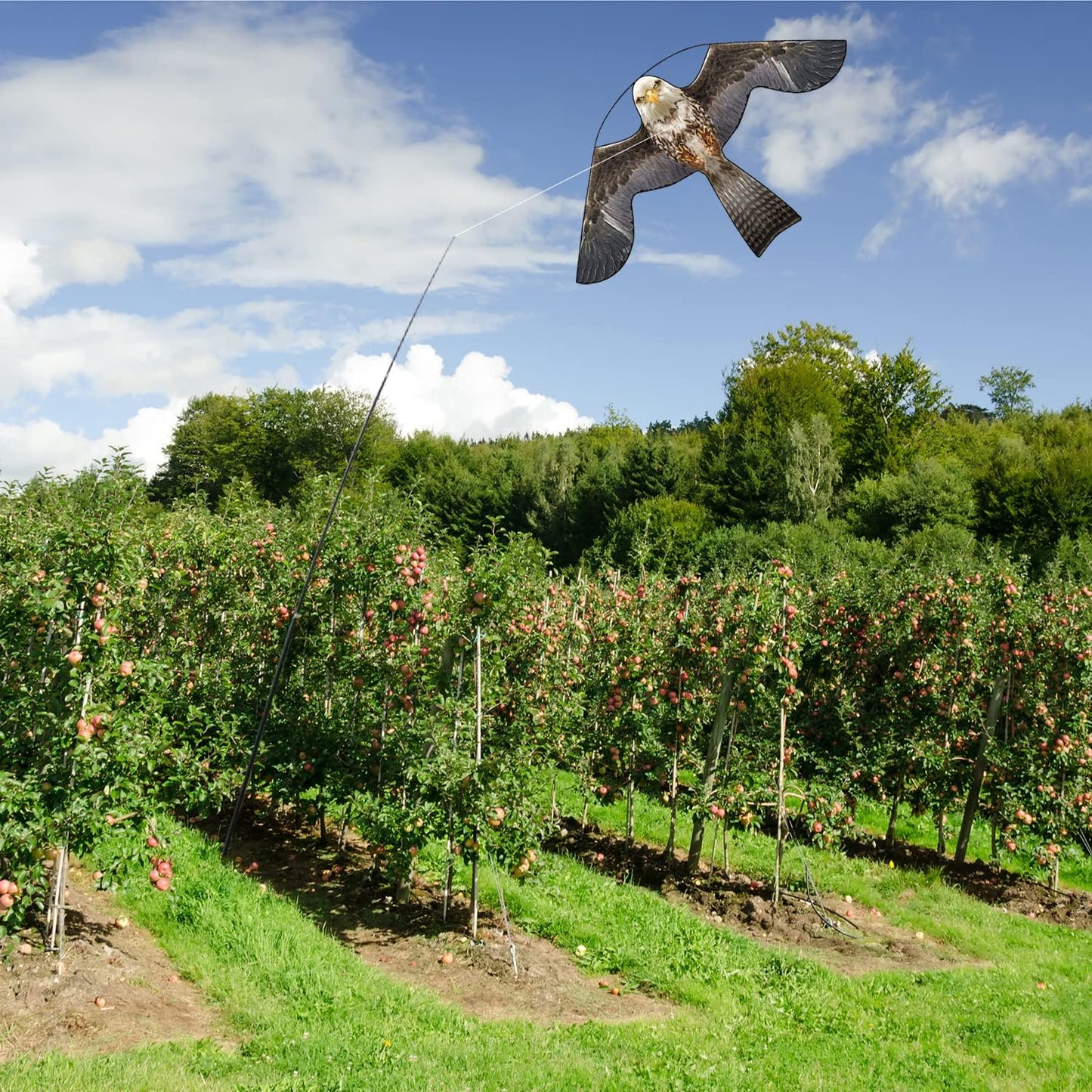 Bird Hawk Flying Kite with Pole Crops Farm Protector Bird Scarer Flying Kite with 6m Pole-Style B