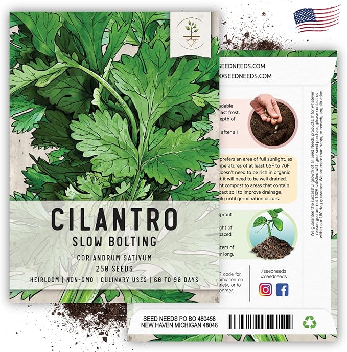 Seed Needs Cilantro Seeds for Planting Coriander Kitchen Herbs - Non-GMO, Heirloom & Untreated - Organically Grow a Home Grown Herb Garden Indoors or Outdoors (2 Packs)