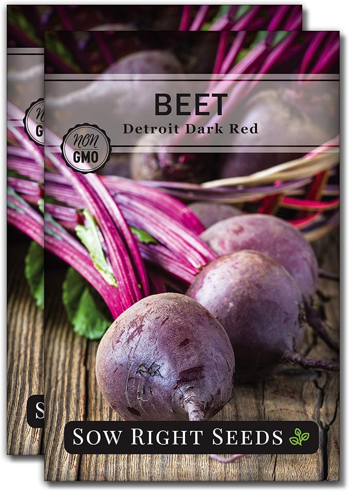 Sow Right Seeds - Detroit Dark Red Beet Seeds for Planting - Non-GMO Heirloom Packet with Instructions to Plant & Grow an Outdoor Home Vegetable Garden - Nutritious, Cold Hardy, and Productive (2)