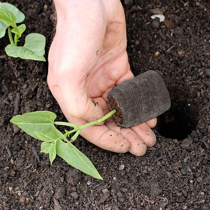 ZeeDix 300 Pcs (30mm) Peat Pellet Fiber Soil Plant Seed Starters - Seed Starter Pellets Pods Compressed Peat Pellets for Grow Herbs, Plant,Flowers and Vegetables