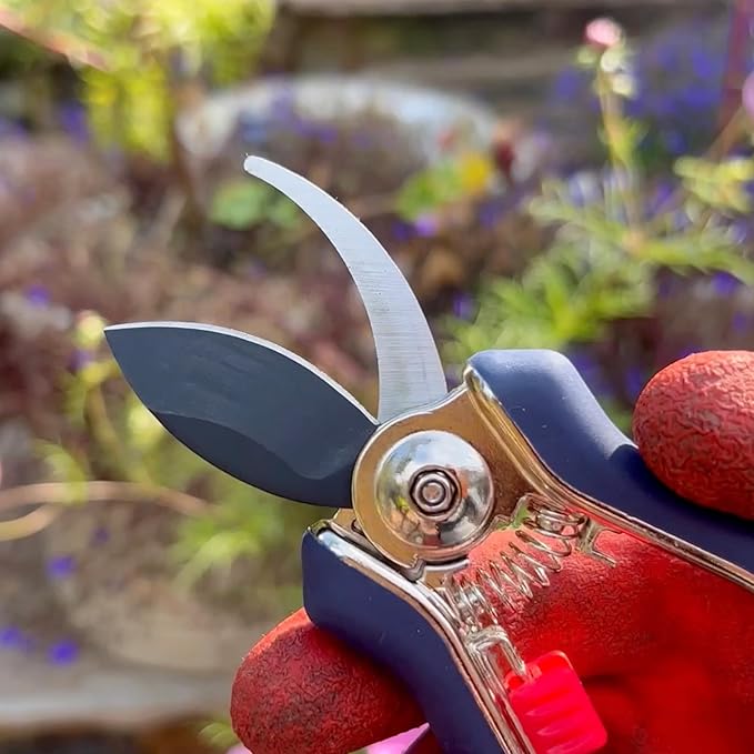 Spear & Jackson 4941MP Razorsharp Mini Pruner Set