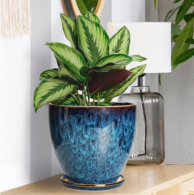 Ceramic Plant Pot, 6 Inch Ceramic Planter Pot with Drainage Hole and Saucer, Succulent Round Flower Pot for Indoor Plants Outdoor, Blue