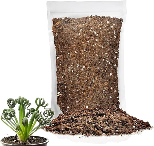 Premium Albuca Spiralis Potting Soil Mix - Perfect Balance of Nutrients, Drainage, and Aeration for Thriving Blooms - 4 Quart