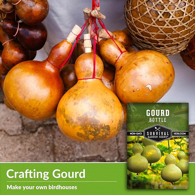 Bottle Gourd Seed for Planting - 2 Packets with Instructions to Plant & Grow Birdhouse or Calabash Gourds in Your Home Vegetable Garden - Non-GMO Heirloom Variety Plant Seed - Survival Garden Seeds