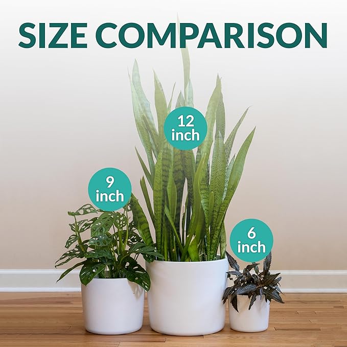 Willowy 9 Inch Matte White Ceramic Planter - Ceramic Plant Pots for Indoor, White Indoor Planter, White Flower Pot for Indoor Plants, 9 Inch Plant Pot, 9 Inch Ceramic Planter, 9 Inch Pot with Drainage