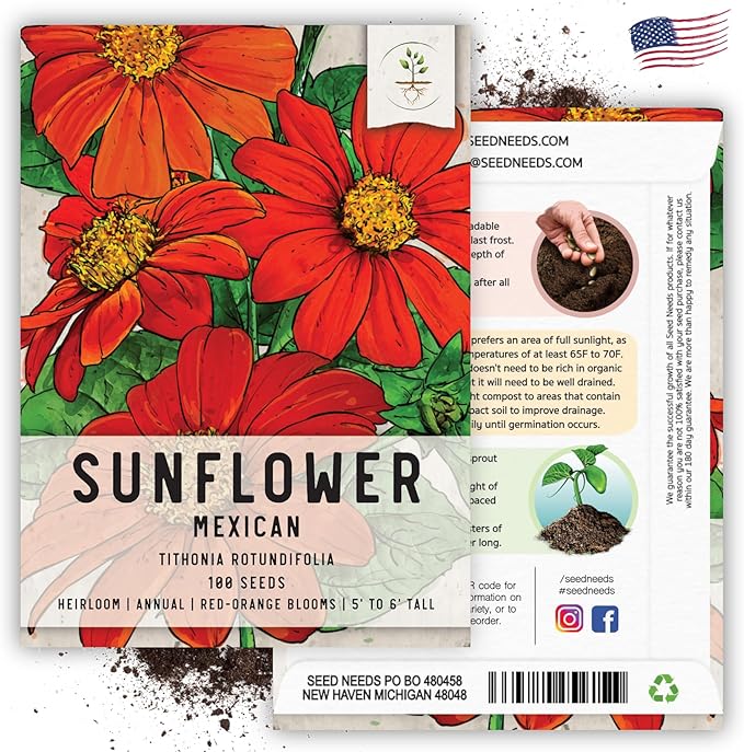 Seed Needs, Mexican Sunflower Seeds - 100 Heirloom Seeds for Planting Tithonia rotundifolia - Annual Wildflower That Attracts Pollinators/Butterflies (1 Pack)