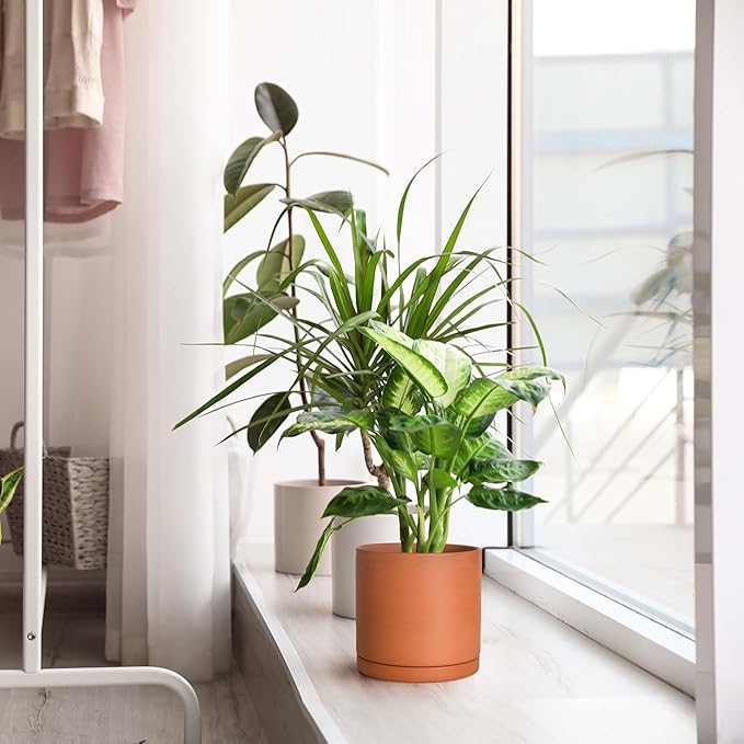 D'vine Dev Terracotta Pots for Plants, 5.3 Inch 6.5 Inch 7.8 Inch, Round Cylinder Planter Pot with Drainage and Saucer, 40-T-B-0