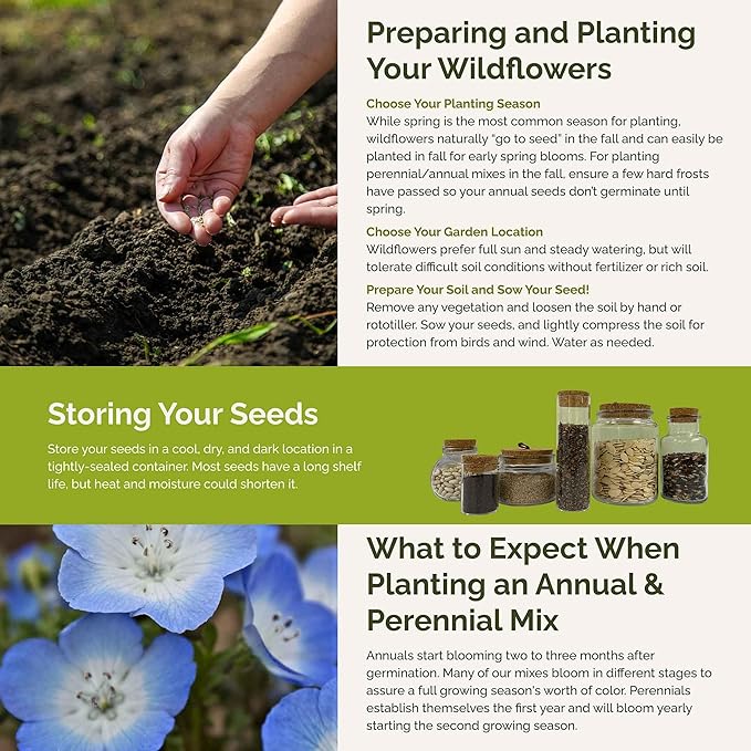 Eden Brothers Singin the Blues Wildflower Mixed Seeds for Planting, 1/4 lb, 120,000+ Seeds with Blue Flax, Lupine, Chicory, Attracts Pollinators, Plant in Spring or Fall, Zones 3, 4, 5, 6, 7, 8, 9, 10