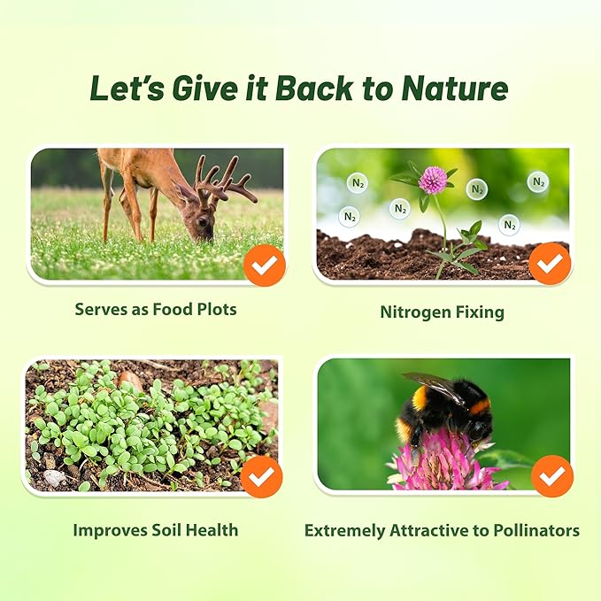 Outsidepride Perennial Red Clover Seeds - 40 lbs. Self-Seeding, Nitrocoated, Inoculated Clover Seeds for Lawn, Yard, Forage, Pasture, Hay, Nitrogen Fixation, Soil Improvement & Crop Rotation Programs