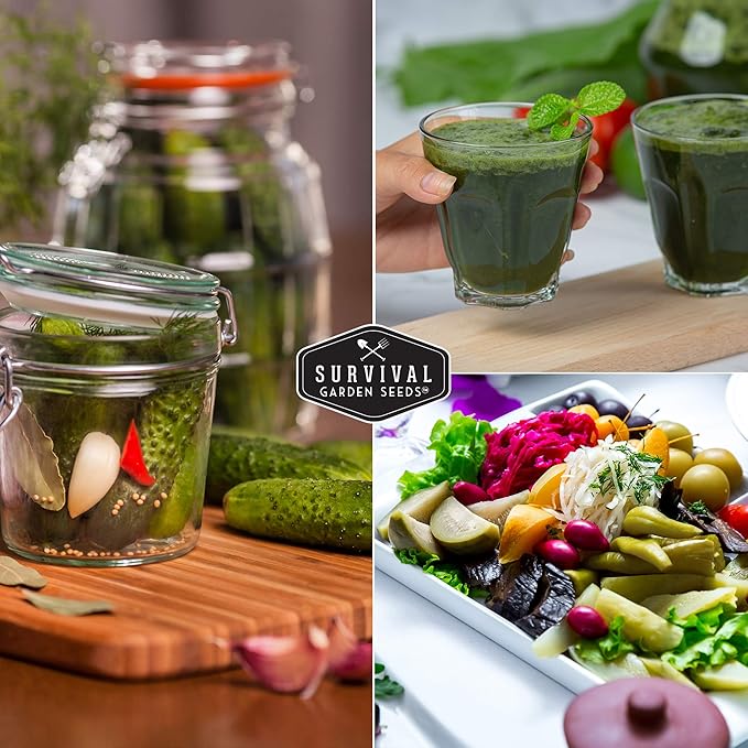 5 Packs Spacemaster Cucumber Seed for Planting - Packet with Instructions to Plant Container Friendly Cucumbers in Your Home Vegetable Garden - Non-GMO Heirloom Variety - Survival Garden Seeds