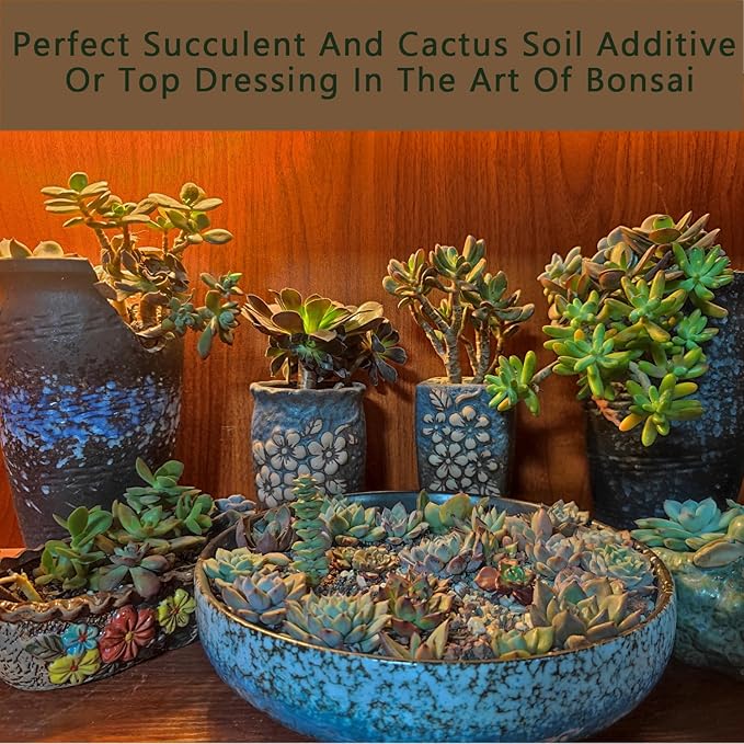 5LBS Soft Golden Maifanitum Stones, Succulent Cactus Decorative Rocks, Indoor Plants Top Dressing Soil, Horticultural Gravel DIY Potting Rocks for Bonsai Fairy Gardening Vases Fillers Terrarium
