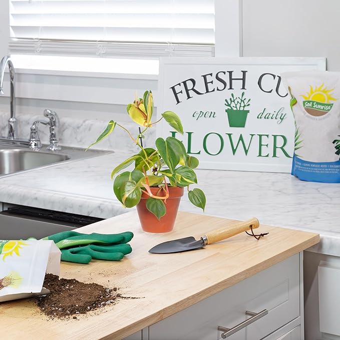 Tropical House Plant Potting Mix (12 Quarts); for All Types of Indoor House Plants