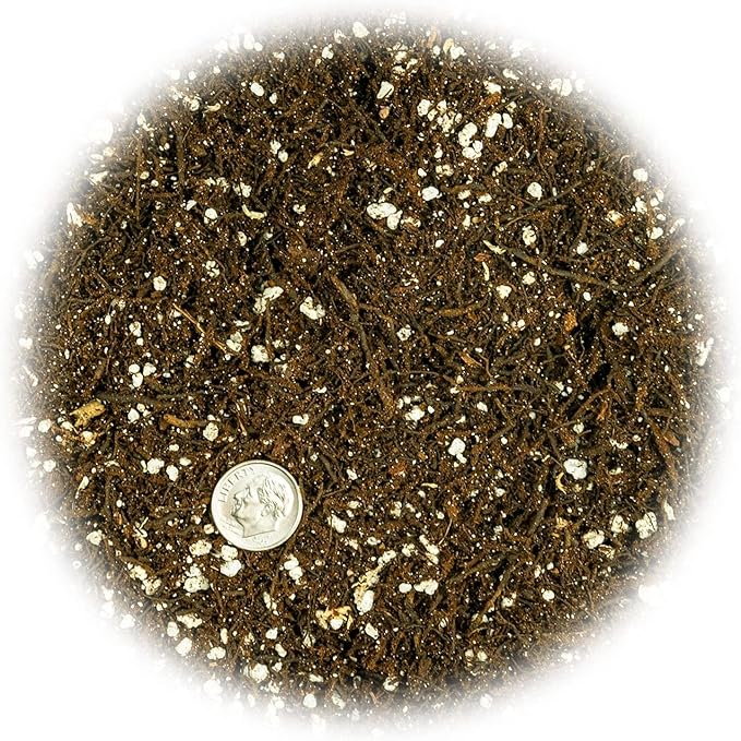 Fern + Perlite Soil Mix for Repotting and Planting Succulents and Cactuses - 2 Quart Bag