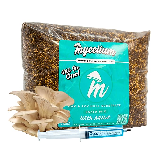 Mycelium’s White Oyster Gourmet Mushroom Kit | 5LBS Oak & Soy Hull with Millet Blend | 20ML Liquid Culture Syringe | All-in-One Complete Cultivation Kit | Pre-Sterilized - Home Growing Made Easy