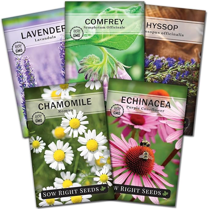 Sow Right Seeds - Medicinal Herb Seed Collection for Planting - Roman Chamomile, Echinacea, Lavender, Comfrey & Hyssop - Non-GMO Heirloom Seed - Grow Your own Home Remedies, Teas, & Tinctures
