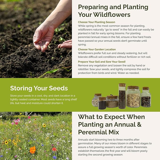 Eden Brothers Midwest Wildflower Mixed Seeds for Planting, 10 lb, 4,800,000+ Seeds with Cornflower, Candytuft, Mexican Hat, Attracts Pollinators, Plant in Spring or Fall, Zones 3, 4, 5, 6, 7, 8, 9, 10