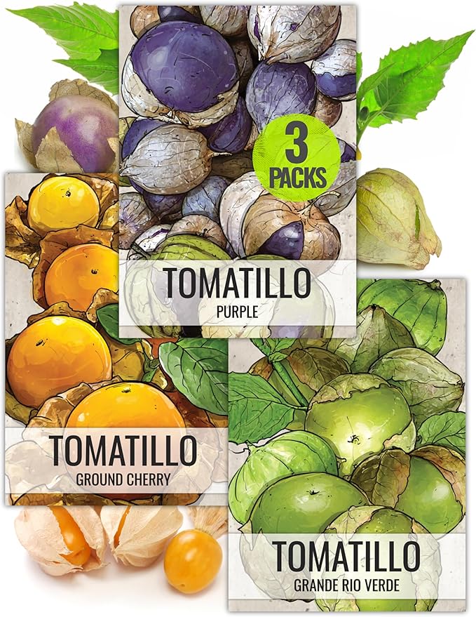 Seed Needs Tomatillo Seeds for Planting Variety Pack - Heirloom, Non-GMO & Untreated - Grow an Outdoor Vegetable Garden (3 Packs)