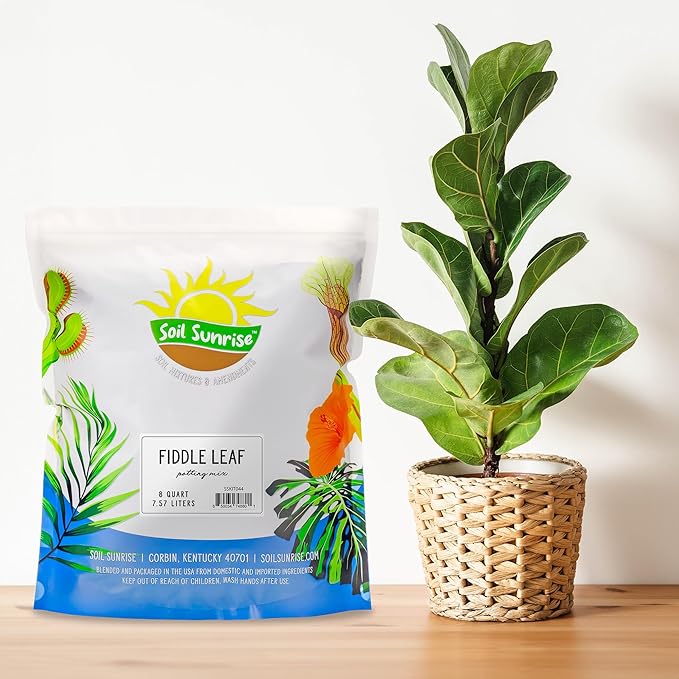 Premium Fiddle Leaf Fig Tree Soil (8 Quarts) - Expert Formula for Vibrant Growth - Nutrient-Rich Potting Mix, Specifically Designed for Healthy Indoor, Outdoor, and Potted Fiddle Fig Plants