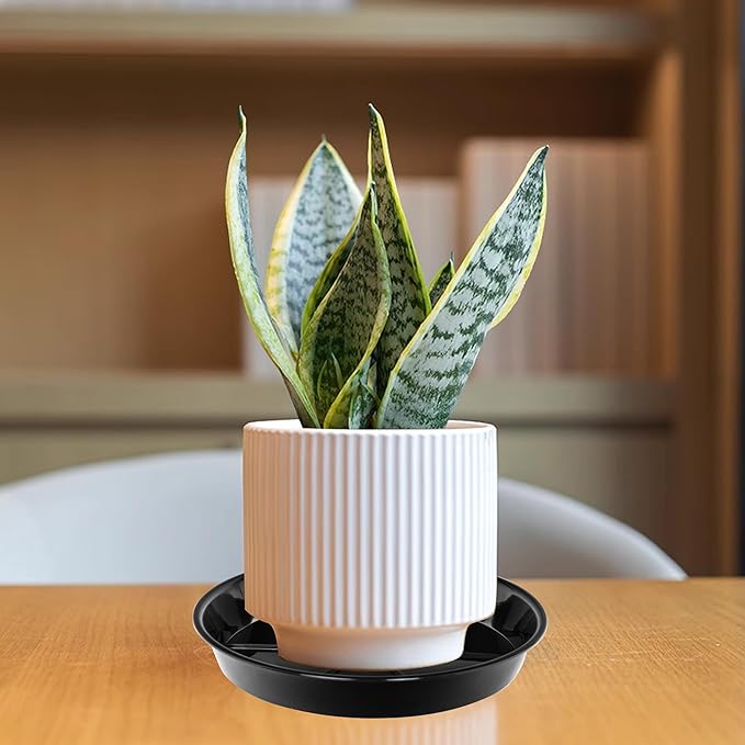 6 Pack Plant Saucer Drip Tray 11 12 inch, Pot Base for Plants Indoor, Heavy Sturdy Plastic Planter Flower Pot Saucers for Outdoor Garden, Plant Water Drip Trays for pots (12", Black)