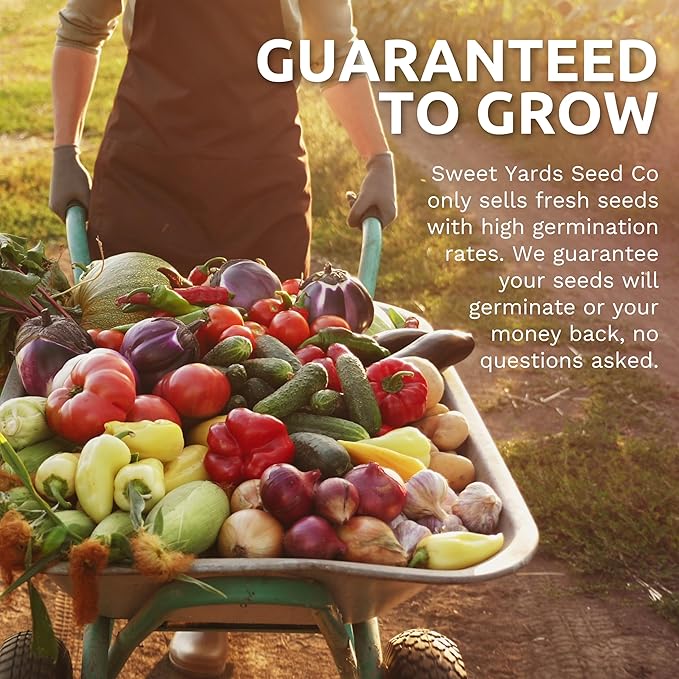 Organic Lettuce & Greens Seeds Variety Pack - 5 Individual Packs - 2025 Season - Buttercrunch, Gourmet Mix, Romaine, Tom Thumb & Iceberg. for Indoor & Outdoor Planting (Non-GMO, Certified Organic)