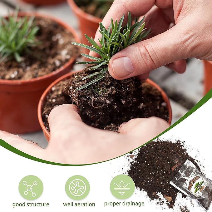 Bonsai Soil Mix 10qt Ready to Use, Organic Bonsai Tree Soil Fits for Small Bonsai Pot, Suitable for Bonsai Seedling, Repotting, or Bonsai Starter Kit