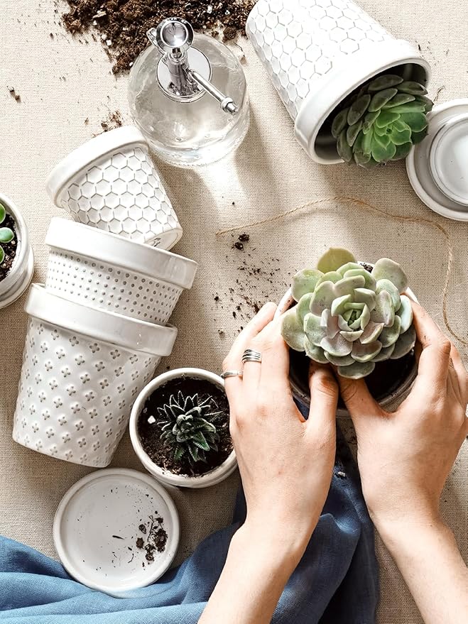 LE TAUCI Succulent Pots, Cute Indoor Plant Pot with Saucer, 4 Inch Mini Ceramic Flower Pots with Drainage, for Plant Lover or Mothers Day,Housewarming, Decorative Lovely Planter for Cactus,Set of 4