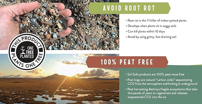 Sol Soils Succulent Gritty Mix 2 Quarts - Fast Draining Peat Moss Free Succulent Soil Potting Mix with Coconut Husk Chips, Perlite & Pumice