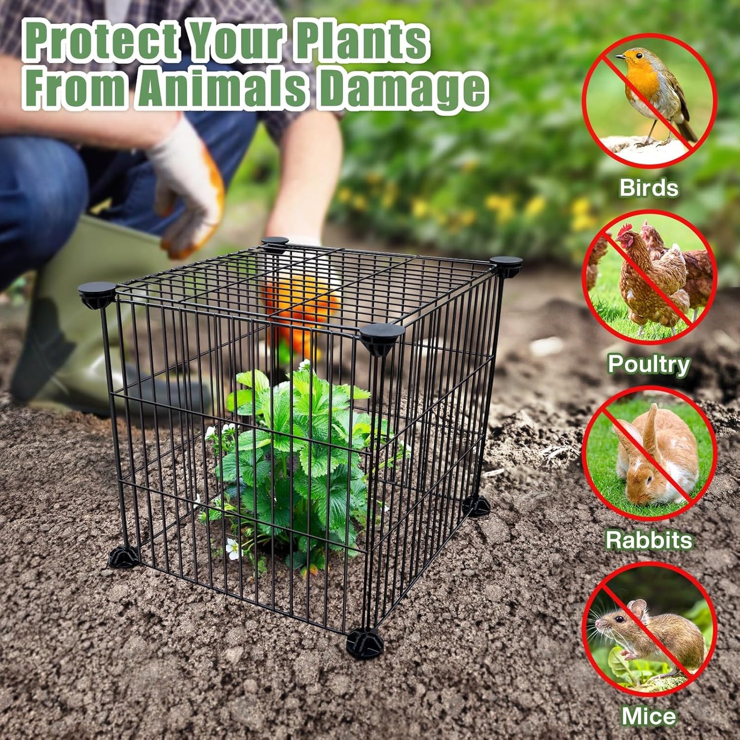2 Packs Plant Protectors from Animals, Metal Mesh Wire Cloche Plant Cages for Outdoor Plants,Sturdy Metal Cage Garden Protection for Your Plants and Seedlings to Keep Animals Out