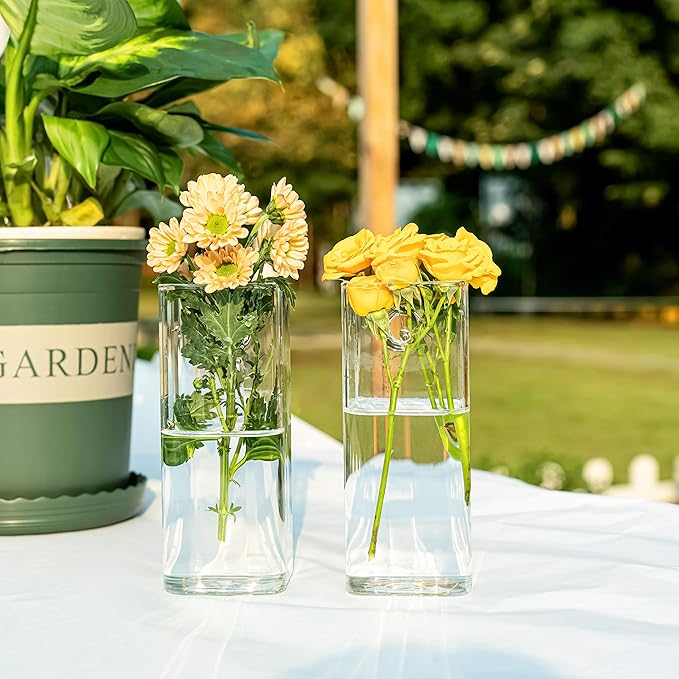 Kingbuy Plant Terrarium Container Propagation Station Square Tube Vase Wall Hanging Glass Planter Indoor Hydroponic Plants Home Office Garden Decor, 4 Pack