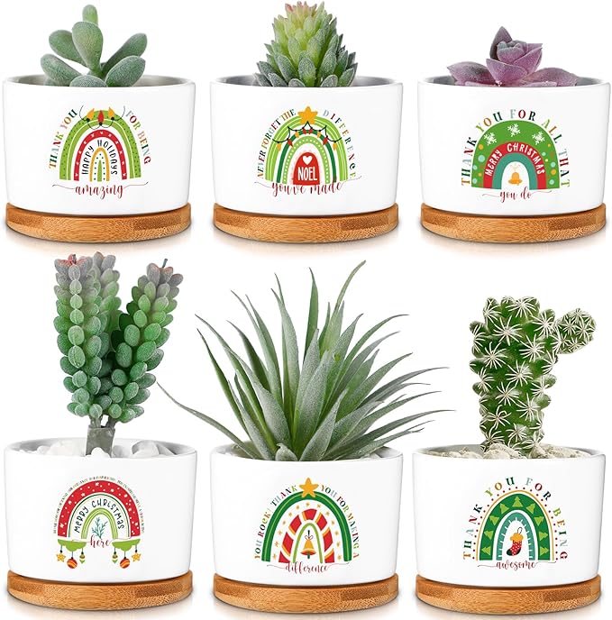 Sieral 6 Pcs Thank You Gift Appreciation Gift Succulent Pots Mini Ceramic Plant Pot with Bamboo Tray Succulent Planter for Coworker Employee Teacher School Counselor, Plants Excluded(Joyous Style)